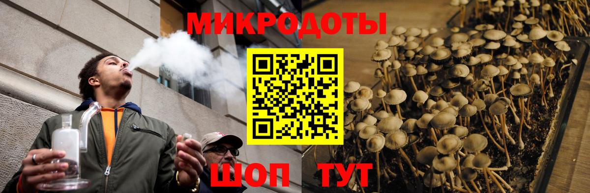 Галлюциногенные грибы прущие грибы Феодосия