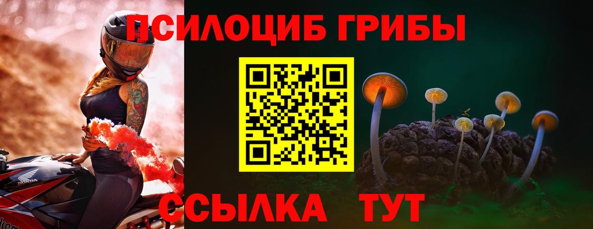 Галлюциногенные грибы ЛСД  Вход с VPN  Феодосия  Псилоцибиновые грибы GOLDEN TEACHER 